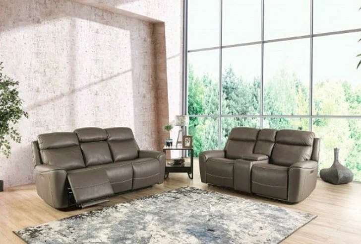 Furniture of America Artemia 2pc Power Reclining Living Room Set in Gray