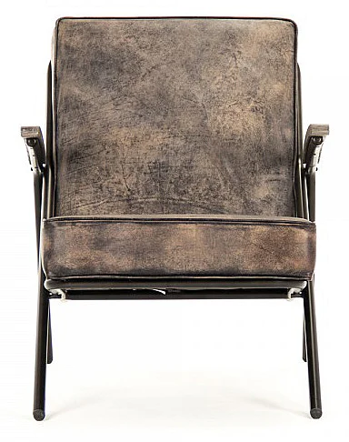 Zentique Lucas Arm Chair in Brown HS127