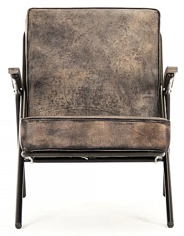 Zentique Lucas Arm Chair (Set of 2) HS127