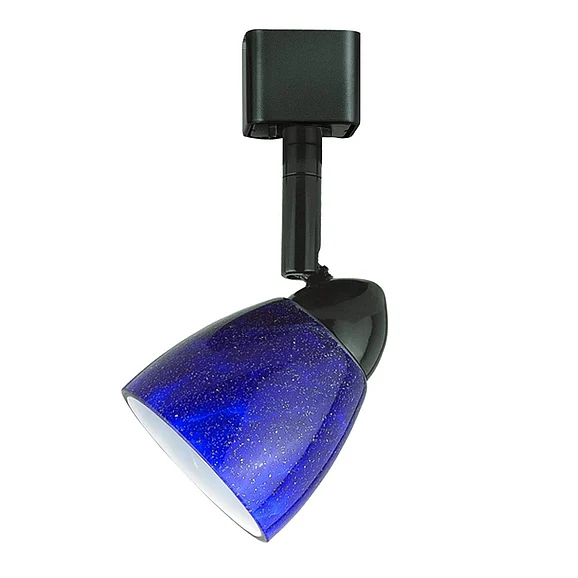 Cal Lighting Serpentine Track Fixture HT-954-DB