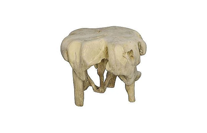 Phillips Collection Teak Wood Round Coffee Table in Bleached ID111480