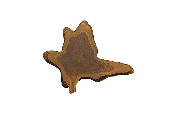 Phillips Collection Medium Freeform Teak Wall Slice in Natural ID114682