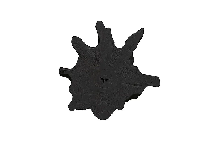 Phillips Collection Medium Freeform Teak Wall Slice in Black ID114684