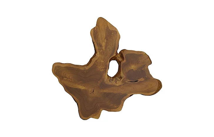 Phillips Collection Large Freeform Teak Wall Slice in Natural ID114685