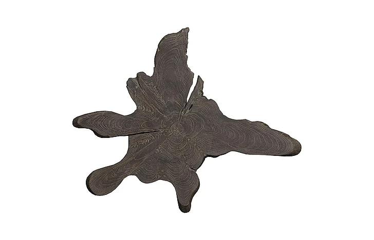 Phillips Collection Large Freeform Teak Wall Slice in Dark Gray ID114686