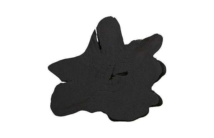 Phillips Collection Large Freeform Teak Wall Slice in Black ID114687