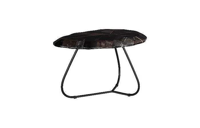 Phillips Collection Mosaic Small Leaf Petrified Coffee Table in Black and Gold ID116040