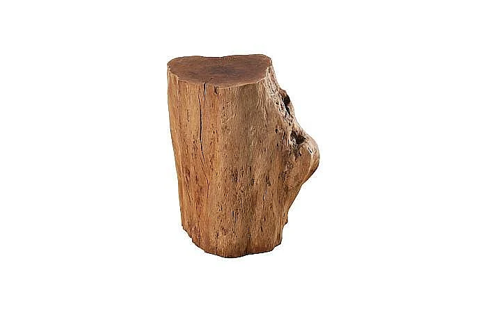 Phillips Collection Longan Wood Stool Assorted Size and Shapes in Natural ID75188