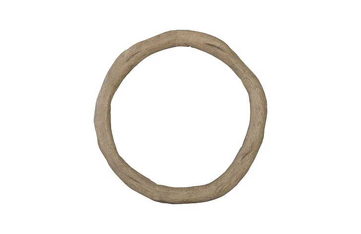 Phillips Collection Circle on the Wall in Gray ID82014