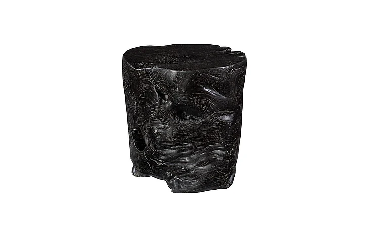 Phillips Collection Round Wash Stool in Black ID85089