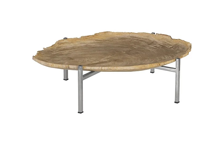 Phillips Collection Petrified Wood Tray in Natural ID88055