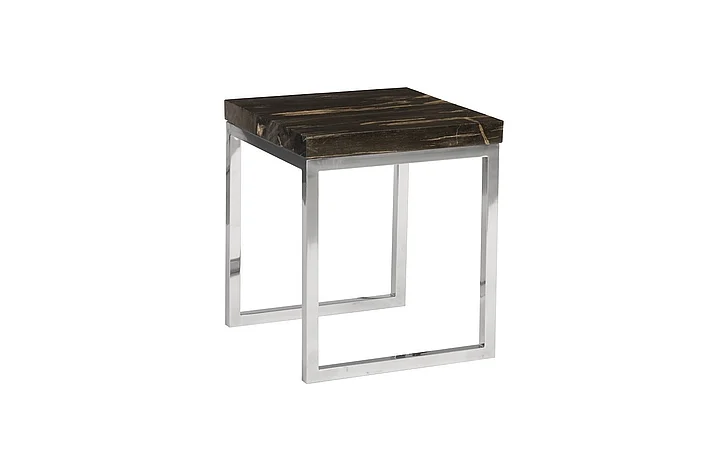Phillips Collection Petrified Wood Side Table in Brown ID93095