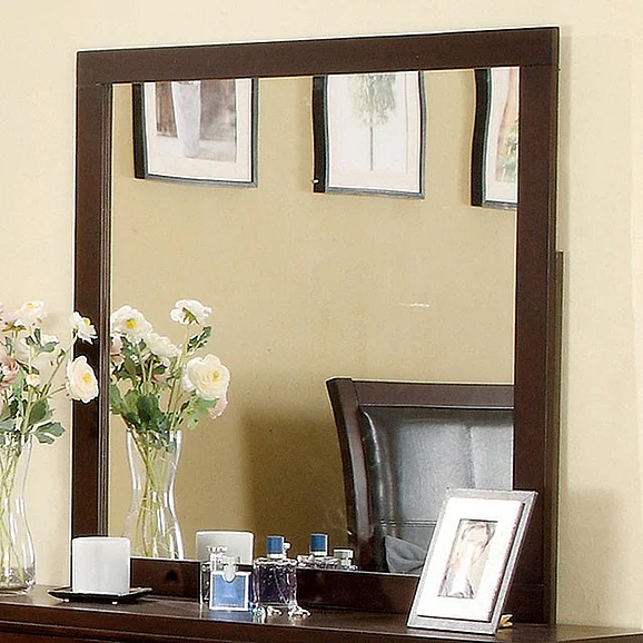 Furniture of America Enrico I Mirror in Espresso CM7088M