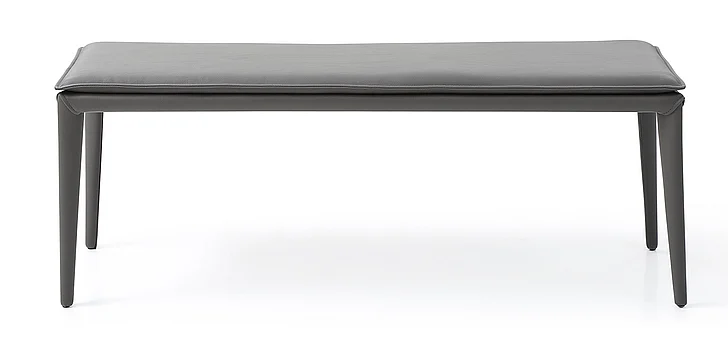 Whiteline Modern Jared Bench in Dark Gray BN1476-DGRY