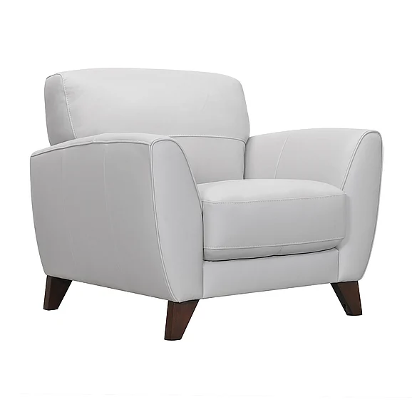 Armen Living Jedd Chair in Dove Grey LCJD1DV