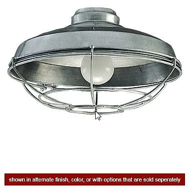 Craftmade 1 Light Wire Cage Light Kit in Flat Black LK984FB
