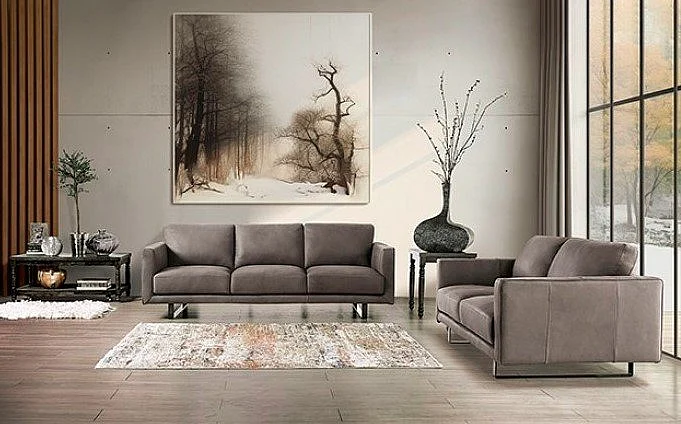 Furniture of America Mezzanotte 2pc Living Room Set in Gray