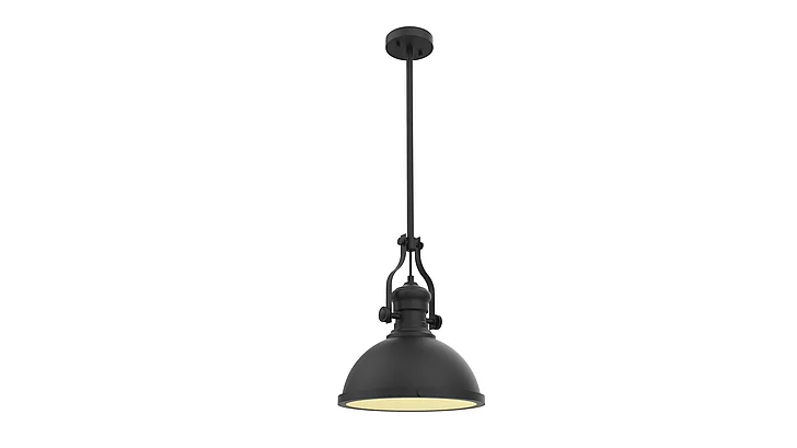 Vinci Lighting Pendants in Black P1010BK