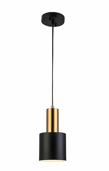 Vinci Lighting Pendants in Aged Brass/Black P1401AB/BK