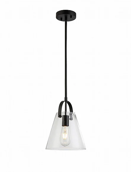 Vinci Lighting Pendants in Black P1420BK
