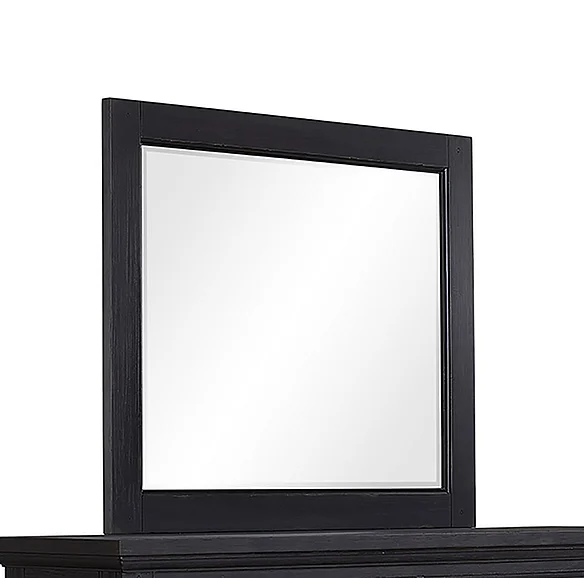 FD Home Parson Creek II Landscape Mirror in Black 7418-06