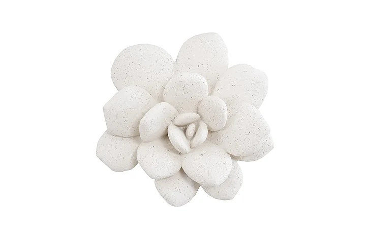 Phillips Collection Laui Succulent Wall Art in White Stone PH104150