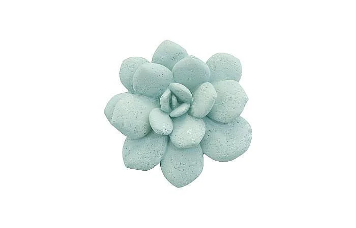 Phillips Collection Laui Succulent Wall Art in Sage PH104151