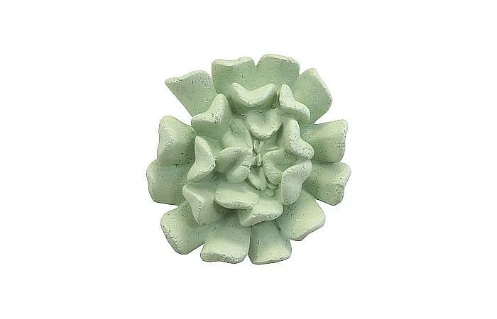Phillips Collection Topsy Turvy Succulent Wall Art in Jade PH104153