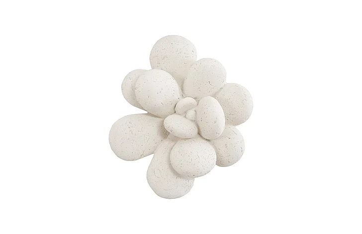 Phillips Collection Oviferum Succulent Wall Art in White Stone PH104154