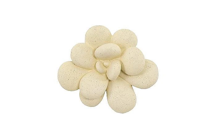 Phillips Collection Oviferum Chartreuse Succulent Wall Art in White Stone PH104155