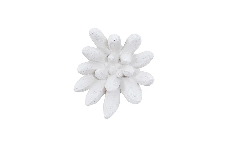 Phillips Collection Compactum Succulent Wall Art in White Stone PH104156