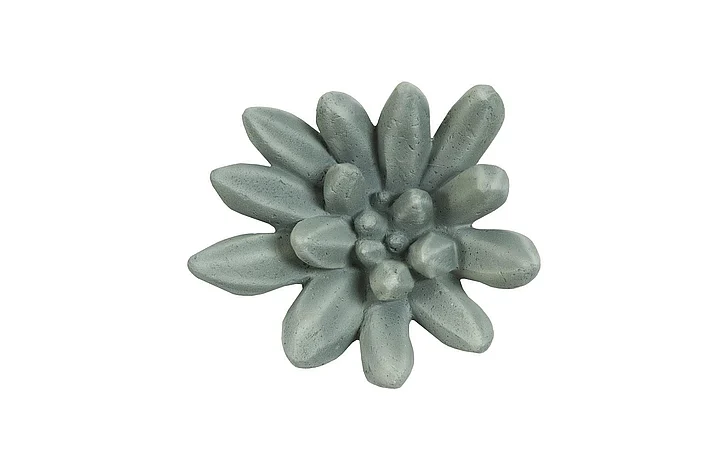Phillips Collection Compactum Succulent Wall Art in Forest PH104157