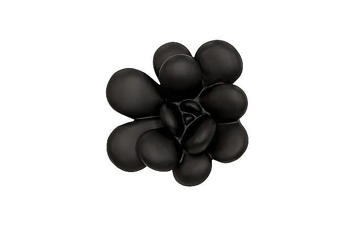 Phillips Collection Oviferum Succulent Wall Art in Smooth Matte Black PH111558