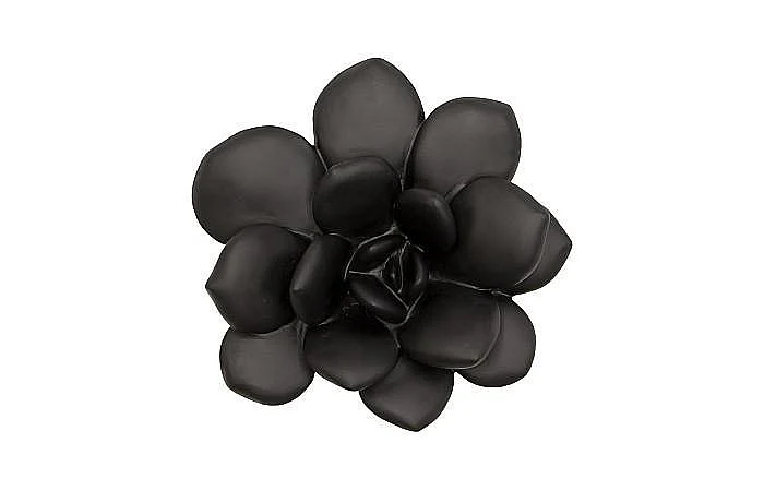 Phillips Collection Laui Succulent Wall Art in Smooth Matte Black PH111559