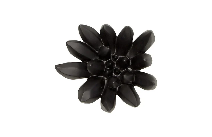 Phillips Collection Compactum Succulent Wall Art in Smooth Matte Black PH111560