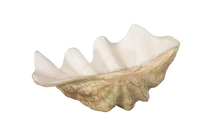 Phillips Collection Large Cast Clam Shell Bowl in Faux Finish PH115690