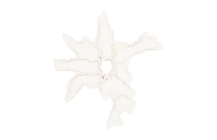 Phillips Collection Contour Cast Root Flower Wall Art in White Stone PH116132