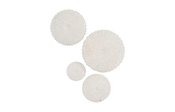 Phillips Collection Sea Urchin Wall Art in Off White PH117333 (Set Of 4)