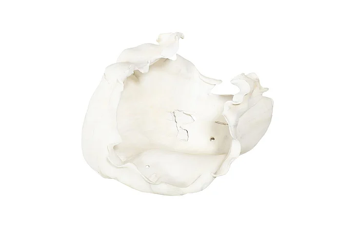 Phillips Collection Cast Root Bowl in Off White PH117411