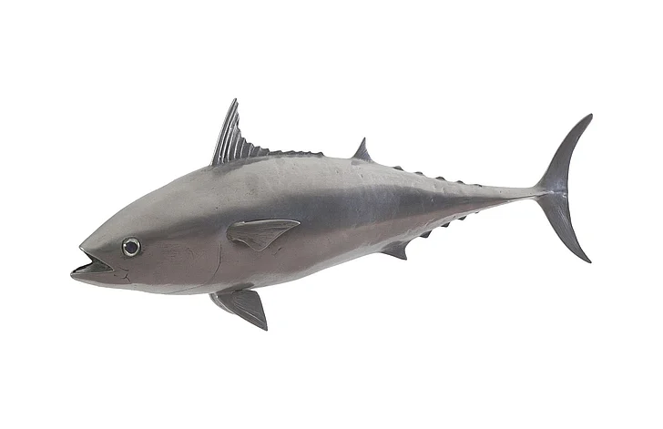Phillips Collection Mackerel Wall Sculpture in Polished Aluminum PH64550
