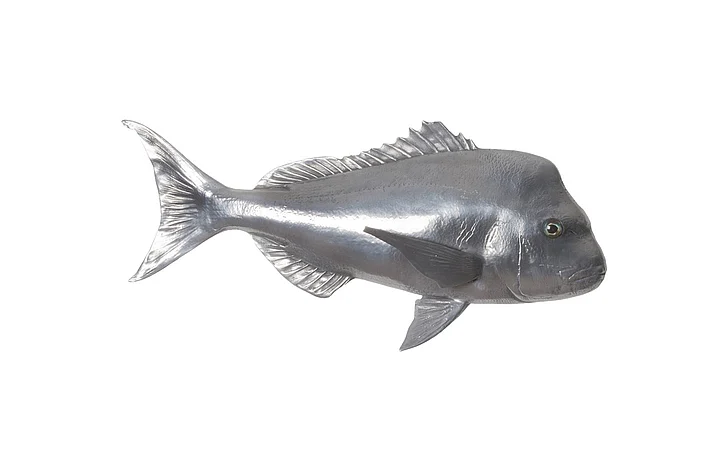 Phillips Collection Australian Snapper Wall Sculpture in Polished Aluminum PH64556