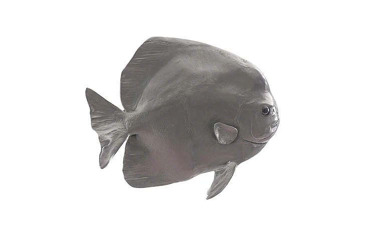 Phillips Collection Australian Bat Fish Wall Sculpture in Polished Aluminum PH64558