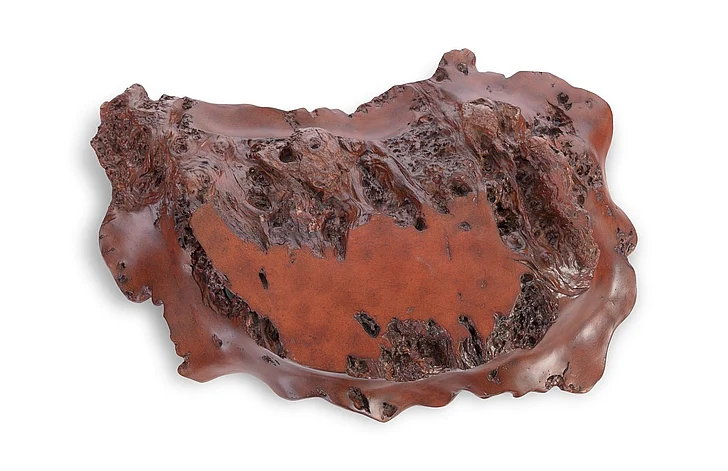 Phillips Collection Cast Naturals Burled Rosewood Wall Art in Faux Bois PH67545