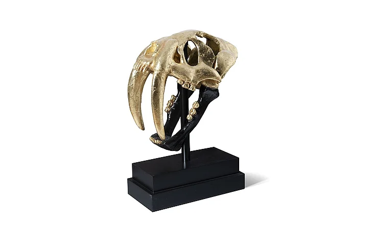 Phillips Collection Saber Tooth Tiger Scull in Gold Leaf/Black PH67580