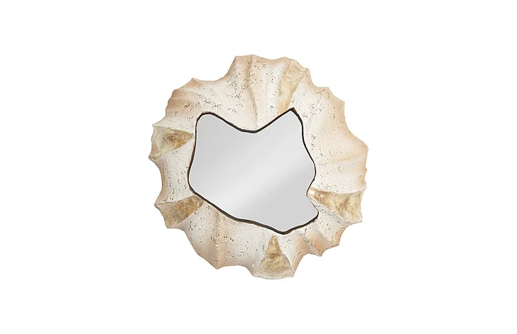 Phillips Collection Barnacle Mirror in Ivory PH75346