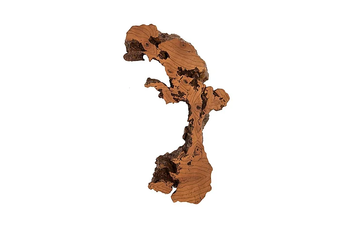 Phillips Collection Cast Naturals Medium Burled Root Wall Art in Brown PH83681