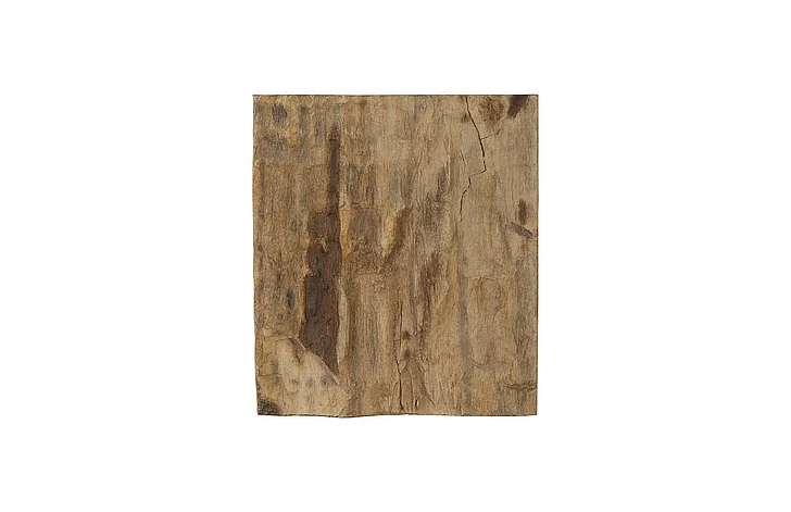 Phillips Collection Cast Naturals Square Cast Petrified Wood Wall Tile in Natural PH89988