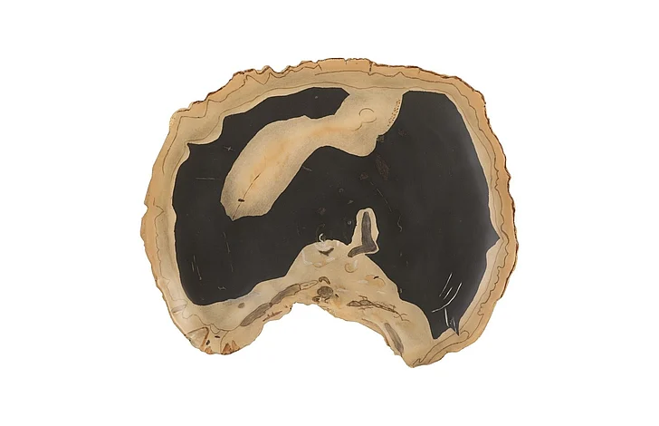 Phillips Collection Cast Naturals Thin Cast Petrified Wood Wall Tile in Brown PH92564