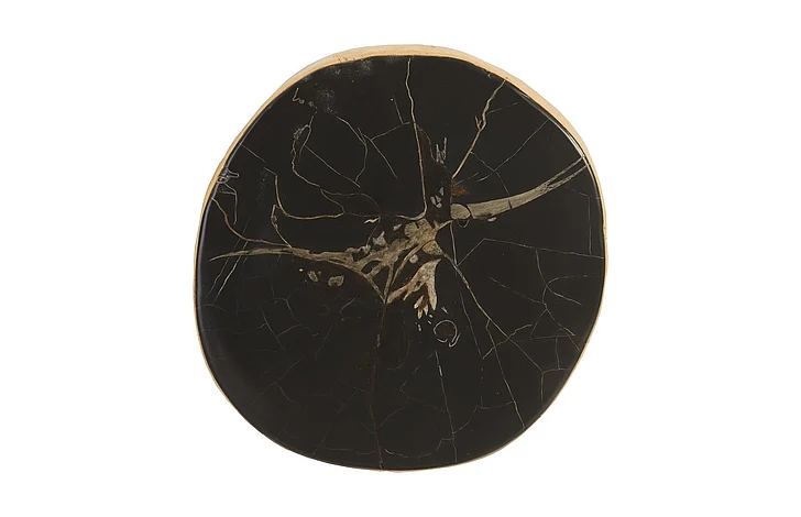 Phillips Collection Cast Naturals Small Cast Petrified Wood Wall Tile in Black PH92565
