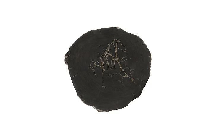 Phillips Collection Cast Petrified Wood Wall Tile PH93154